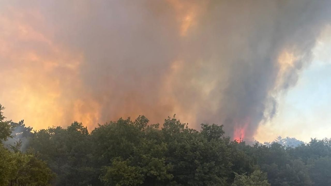 Denizli’deki orman yangını büyük ölçüde kontrol altında – Birlik Haber Ajansı