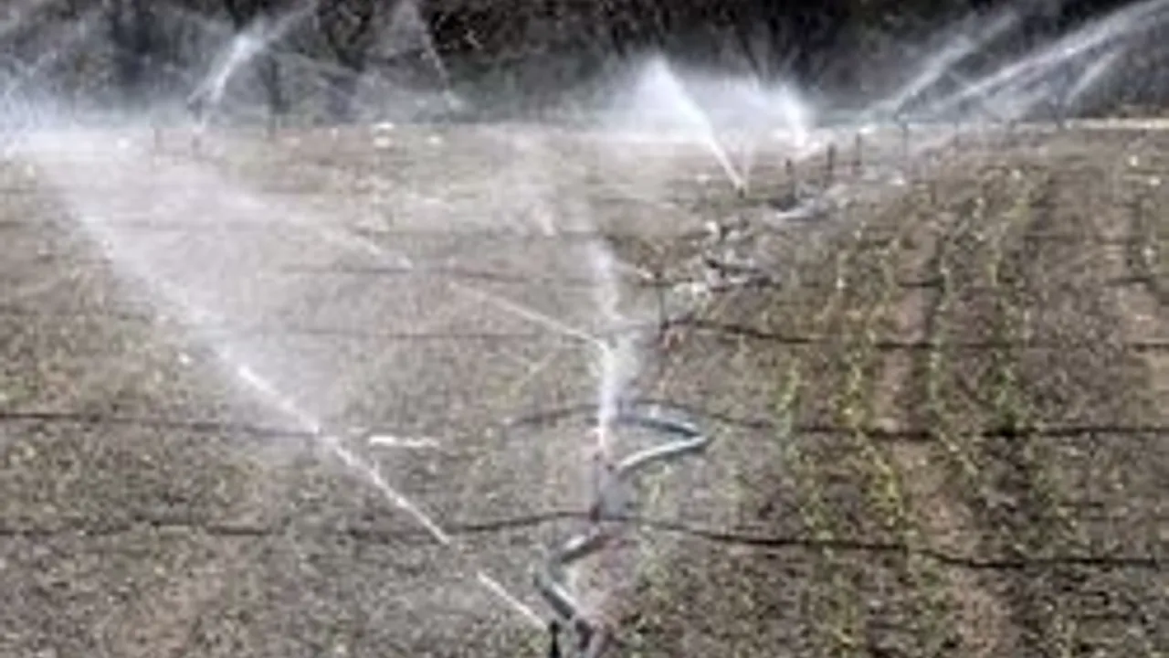 Ziraat Odası Başkanı Mustafa Ateş: Damla sulamaya geçmeliyiz